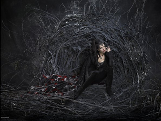Illustration for article titled Once Upon a Time Cast Photos